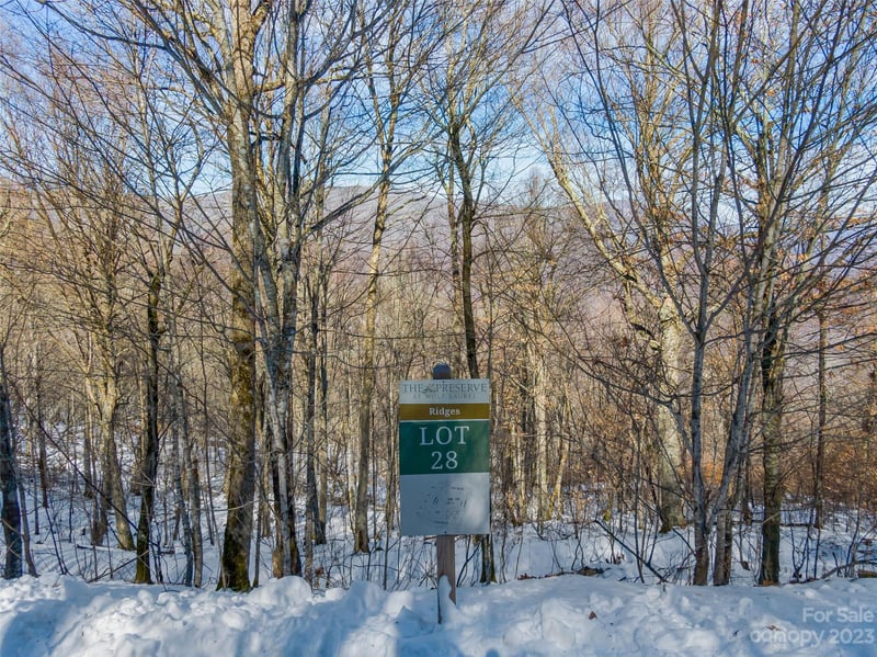 Lot 28 Black Bear Run, Mars Hill, NC -  - $150,000