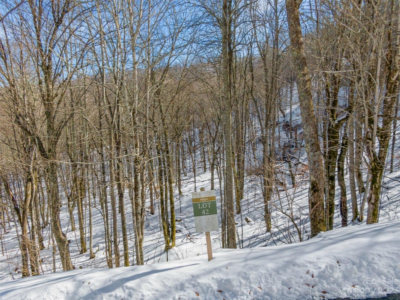 Lot 42 Black Bear Run, Mars Hill, NC -  - $140,000
