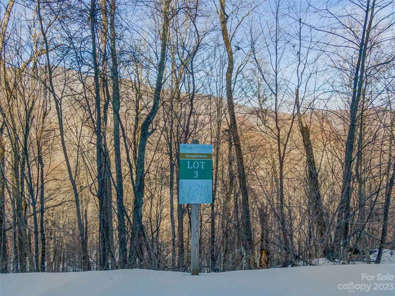 Lot 3 Mountain Gait Drive, Mars Hill, NC -  - $100,000
