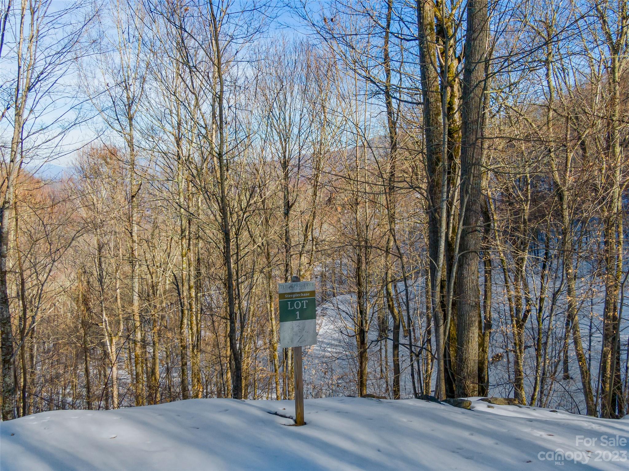 Lot 1 Mountain Gait Drive, Mars Hill, NC. property listing photo