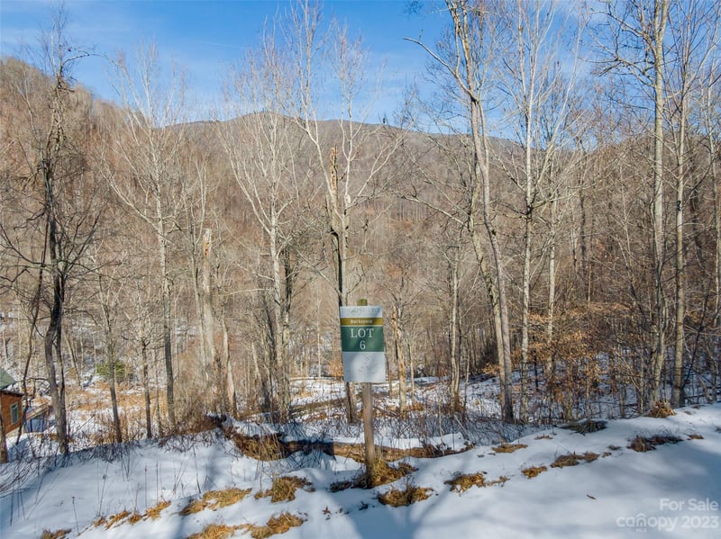 Lot 6 Settlement Way, Mars Hill, NC -  - $70,000