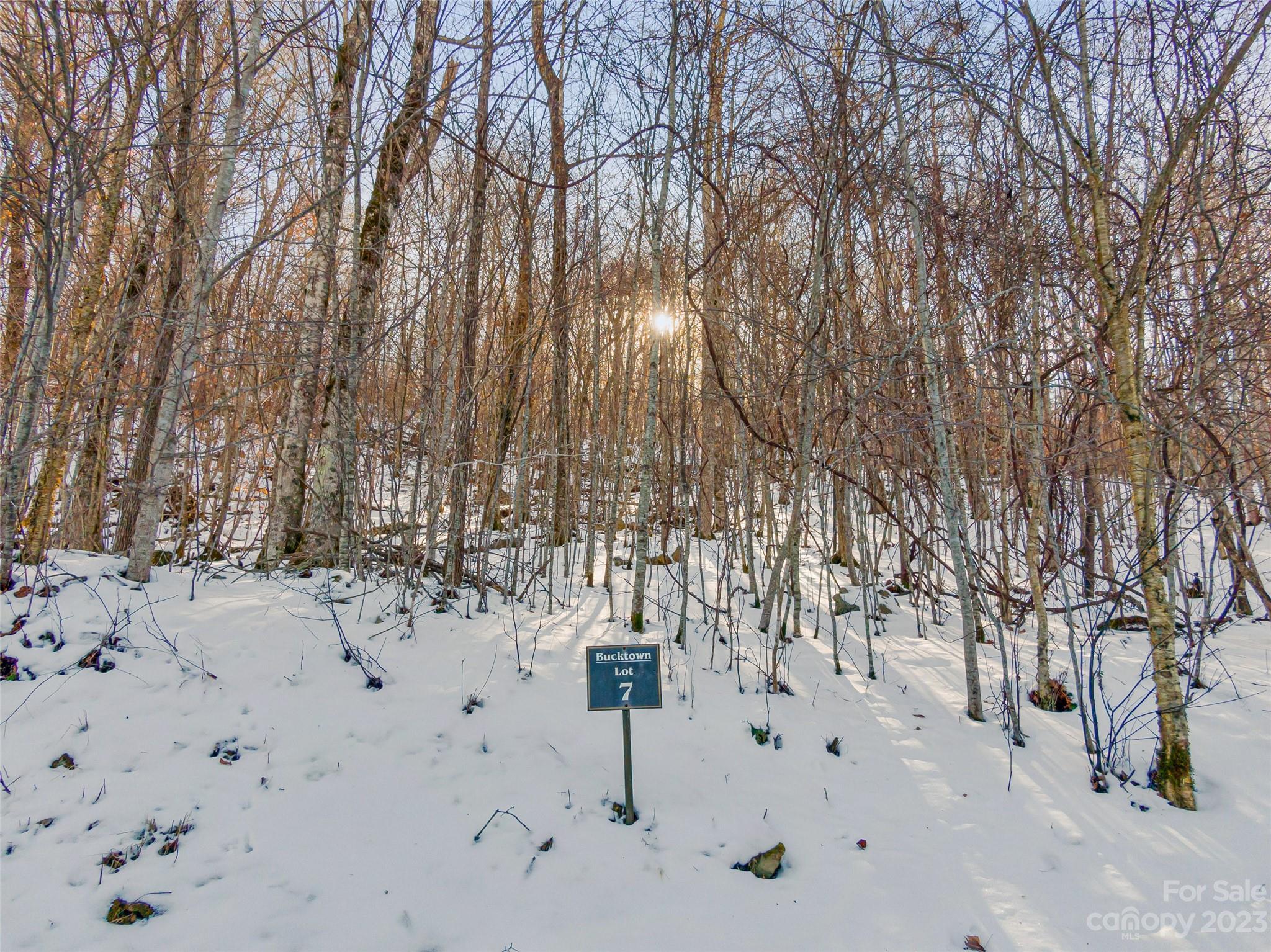 Lot 7 Hadleigh Pearl Way, Mars Hill, NC. property listing photo
