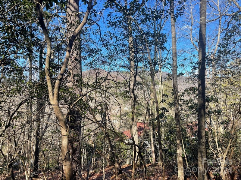146 Center Street 9 & 10, Black Mountain, NC -  - $109,000