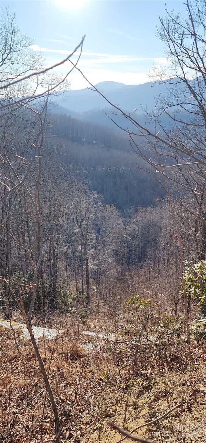 9999 Still Spring Road Lot 4, Black Mountain, NC -  - $467,500