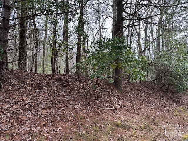 TBD Dotsuwa Court L130&131-U26, Brevard, NC -  - $50,000