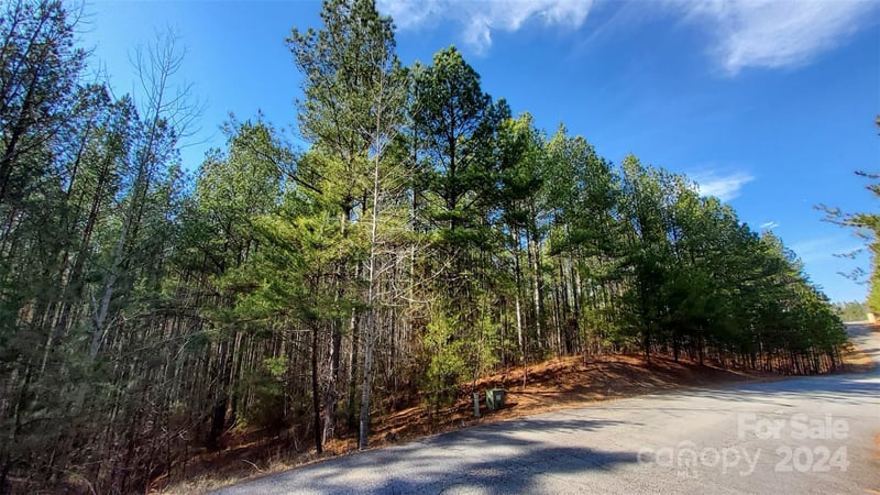 0 Sunset Drive Apt 20, Mill Spring, NC -  - $60,000