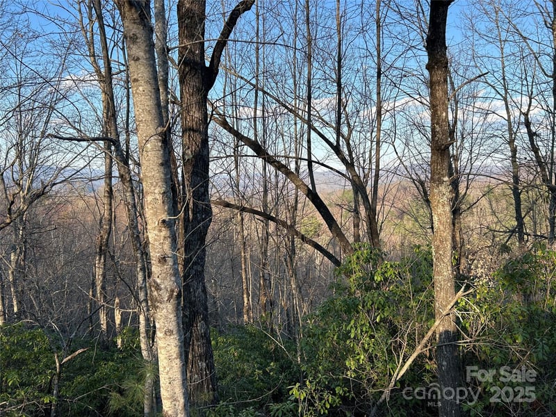 00 Howell Road, Brevard, NC -  - $54,500