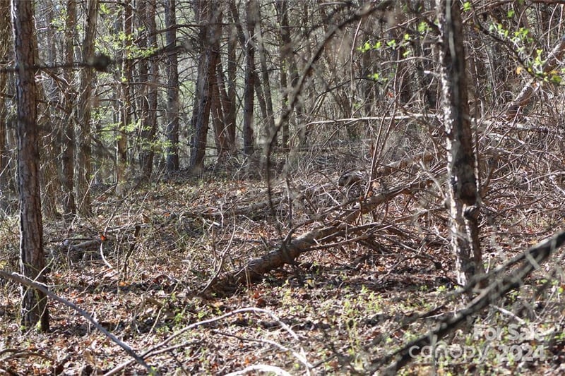 Lot 30 Laurel Valley Drive, Marion, NC -  - $48,500