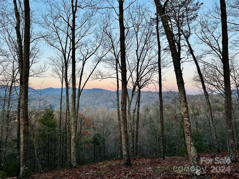 75 Raccoon Run Apt 22, Marshall, NC -  - $164,900