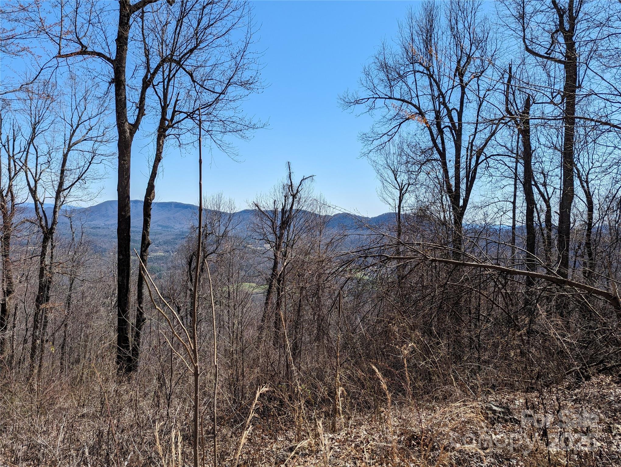 2687 Creston Drive T-26, Black Mountain, NC. property listing photo