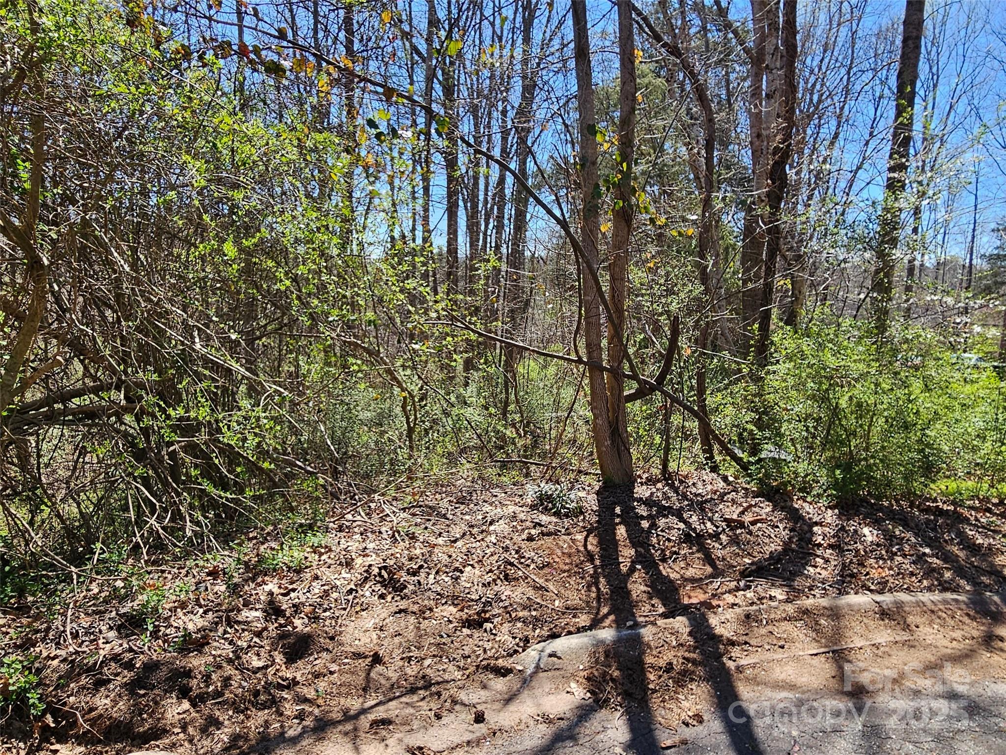 0 Gray Court 56 & 55, Rutherfordton, NC. property listing photo