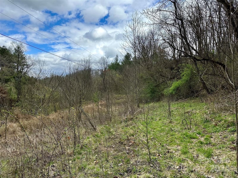 000 Fletcher Martin Road 2 & 3, Alexander, NC -  - $290,000