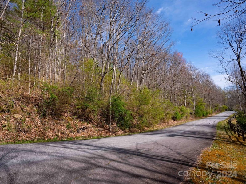 Lot 29 Connemara Overlook Drive, Hendersonville, NC -  - $125,000