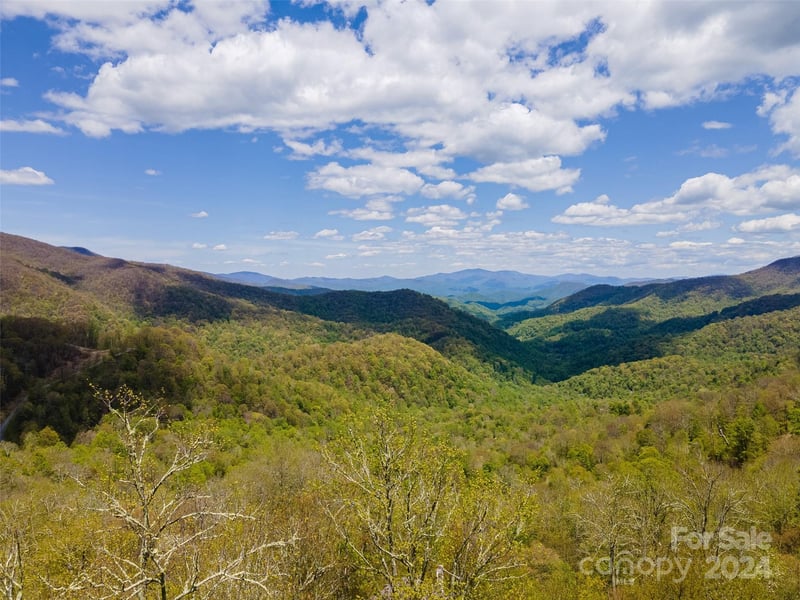 93 Goldenleaf Road 93 & 95, Mars Hill, NC -  - $125,000