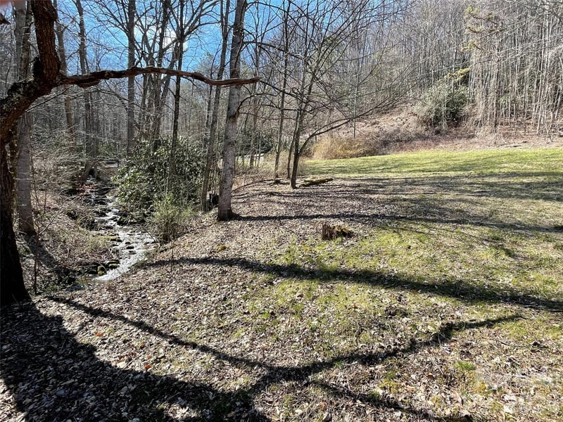 81 Peepeye Cove Road, Leicester, NC -  - $300,000