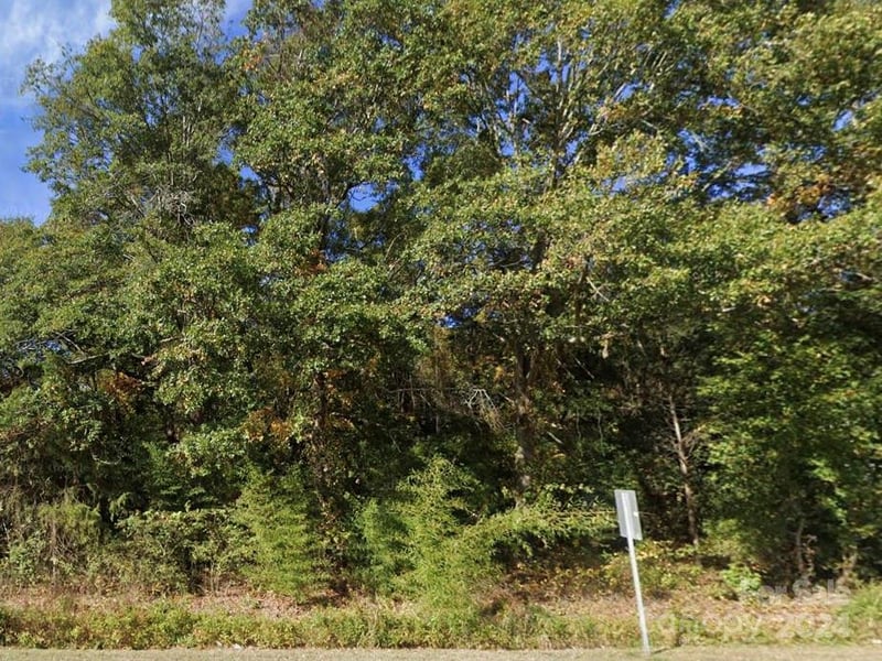 TBD McGregor Street, Pageland, SC -  - $250,000