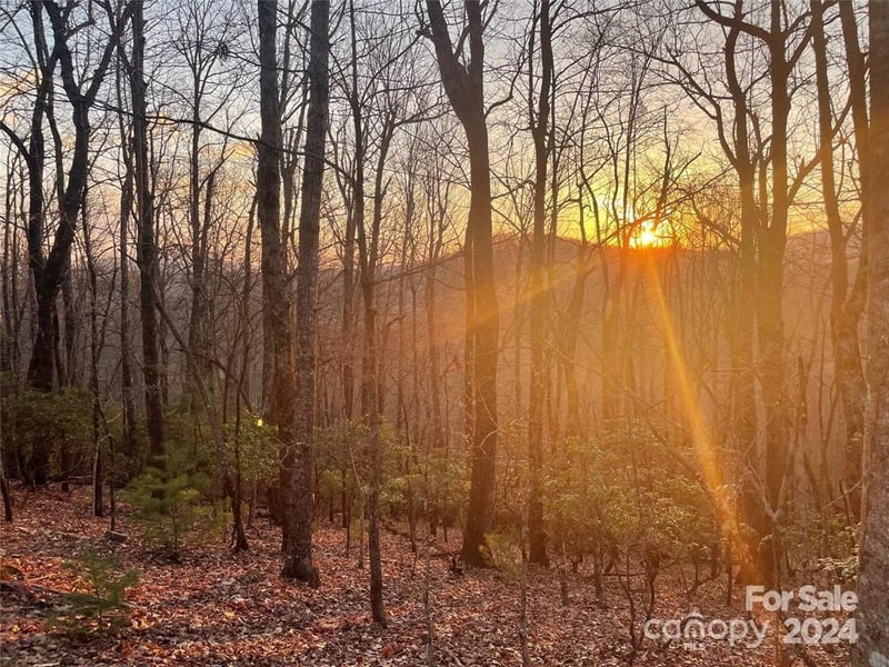 TBD Connestee Trail, Brevard, NC -  - $49,000