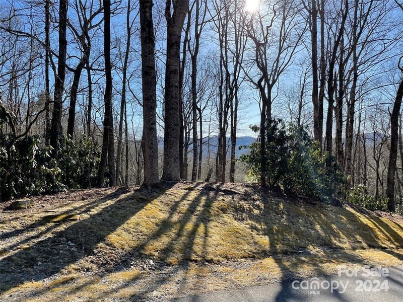 TBD Tsuganawvi Court, Brevard, NC -  - $69,000