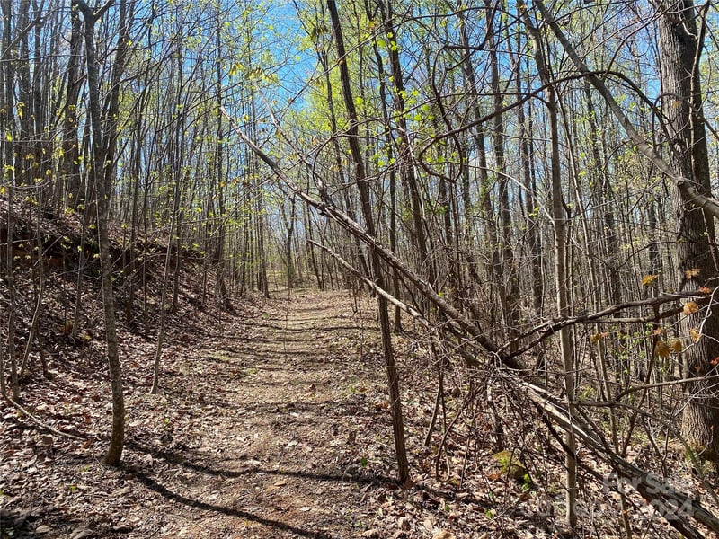 Lots 8,9 Wild Horse Drive, Nebo, NC -  - $19,900