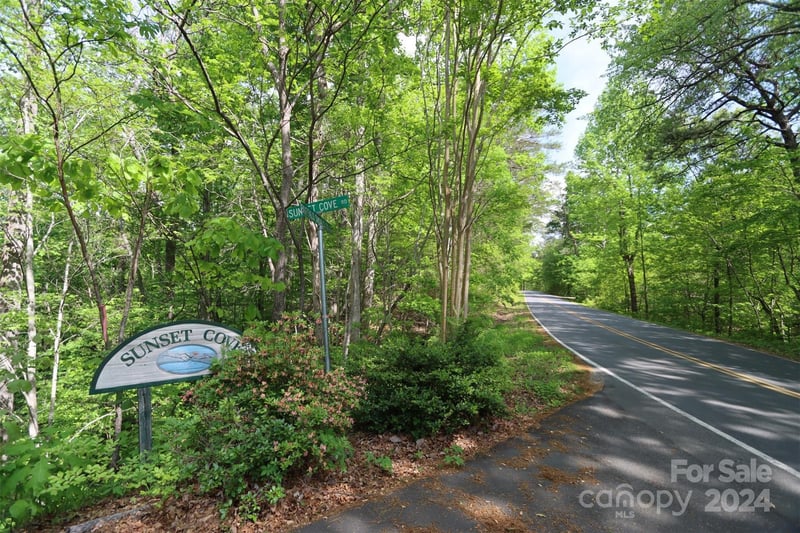 00 Buffalo Shoals Road, Lake Lure, NC -  - $595,000