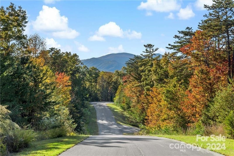 Lot 49 Bald Eagle Lane, Marion, NC -  - $37,990