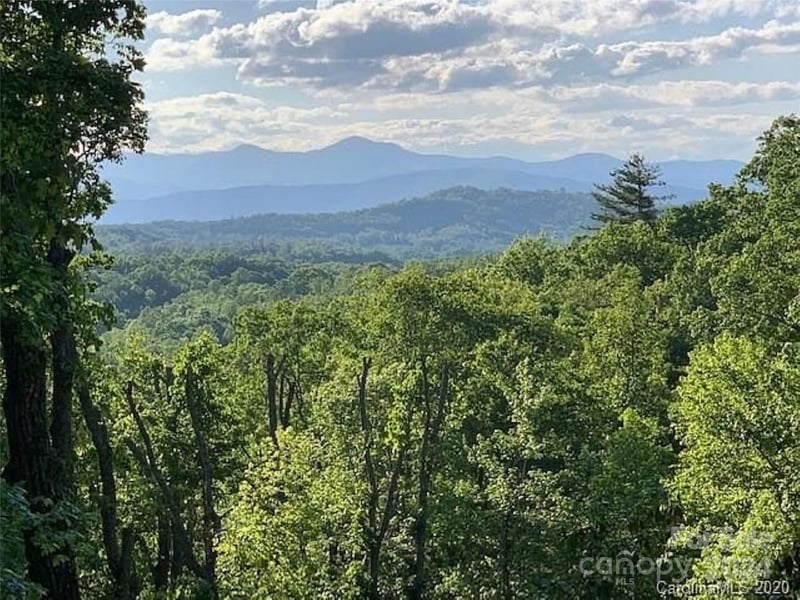 185 Crossvine Trail, Hendersonville, NC -  - $80,000