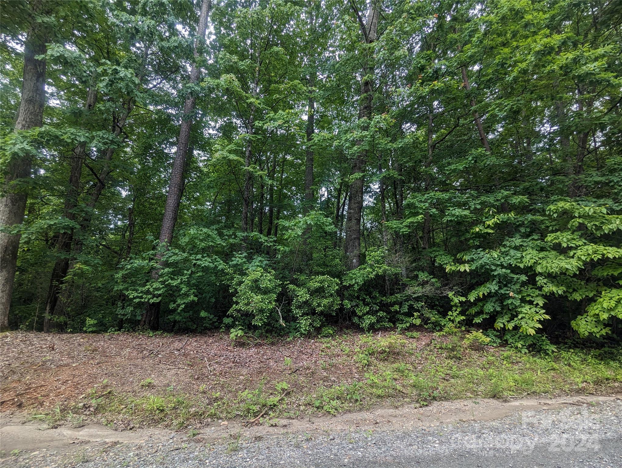 00 Jones Ct LOT 552, Lake Lure, NC 28746. property listing photo