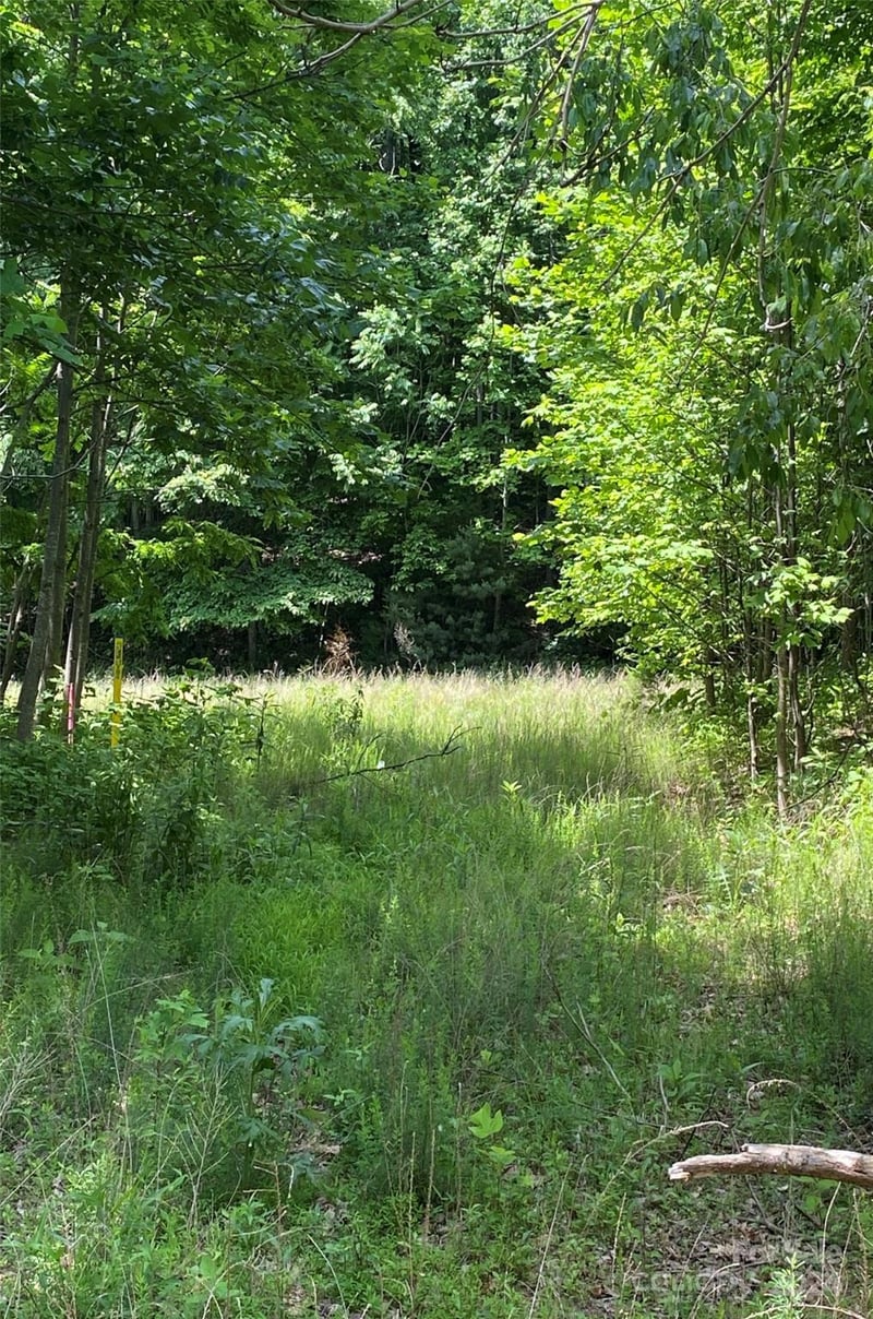 199 Cherry Hill None, Mill Spring, NC -  - $100,000