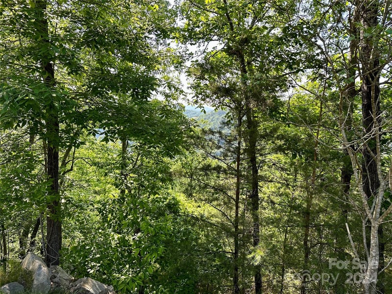 387 Wild River Run Apt 6, Marshall, NC -  - $65,000