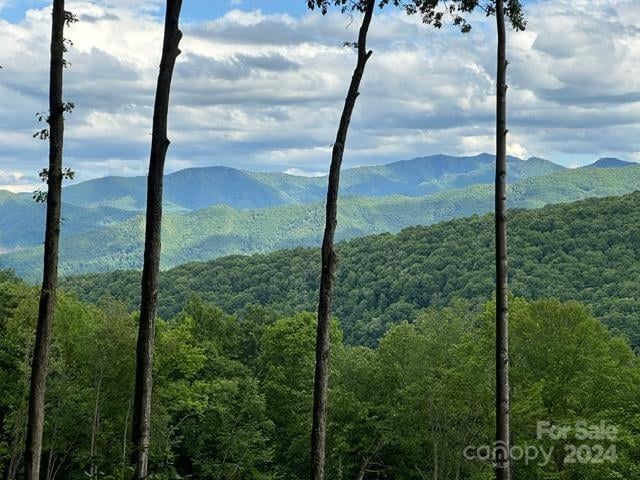 Lot 284 Running Deer Trail, Waynesville, NC -  - $349,000