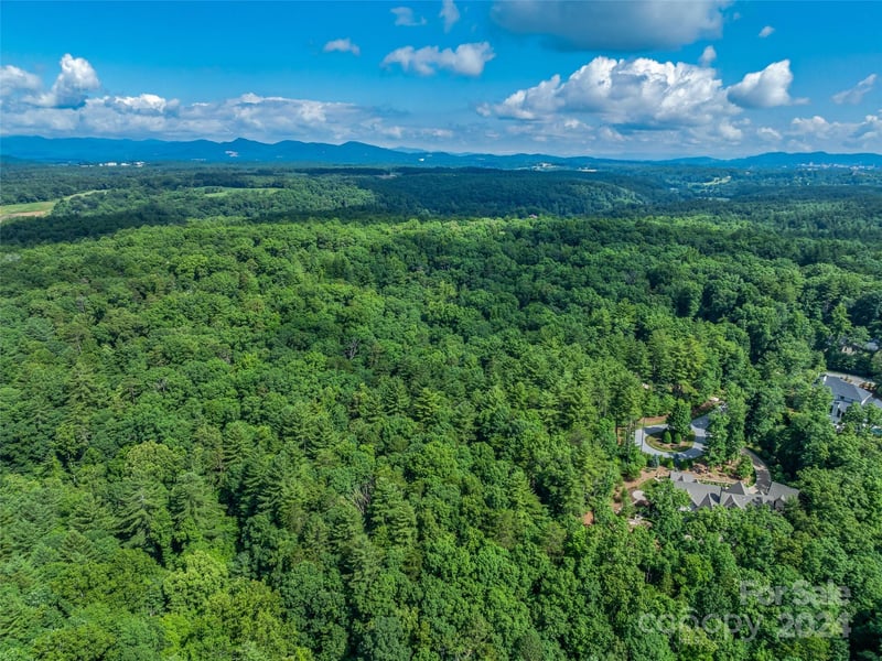 128 Mirehouse Run Apt 144, Asheville, NC -  - $1,475,000