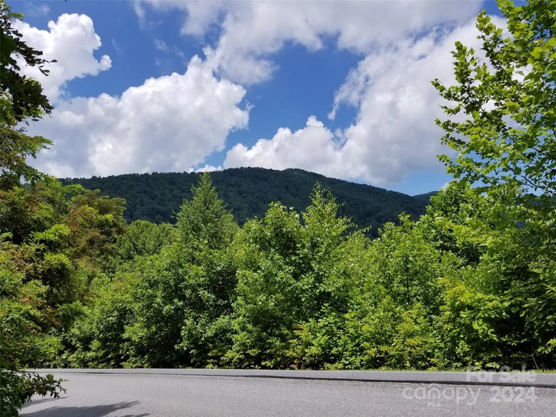 567 Blue Mist Way, Arden, NC -  - $49,000