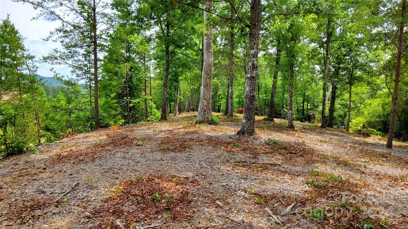 00 Wambli Pass 20 & 21, Lake Lure, NC -  - $109,000