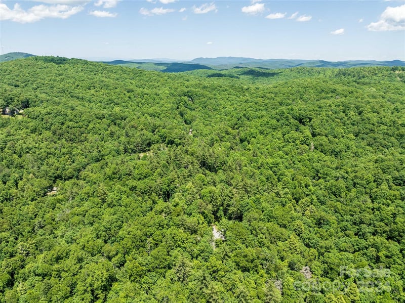 78 Smiling Fox Trail, Brevard, NC - 4 beds, 1,550 sqft - $895,000
