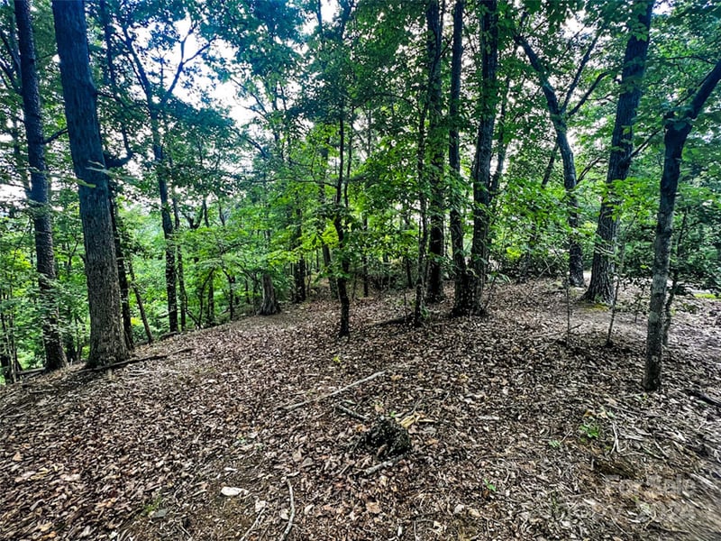 00 Whitney Boulevard Lot 124, Lake Lure, NC -  - $12,500