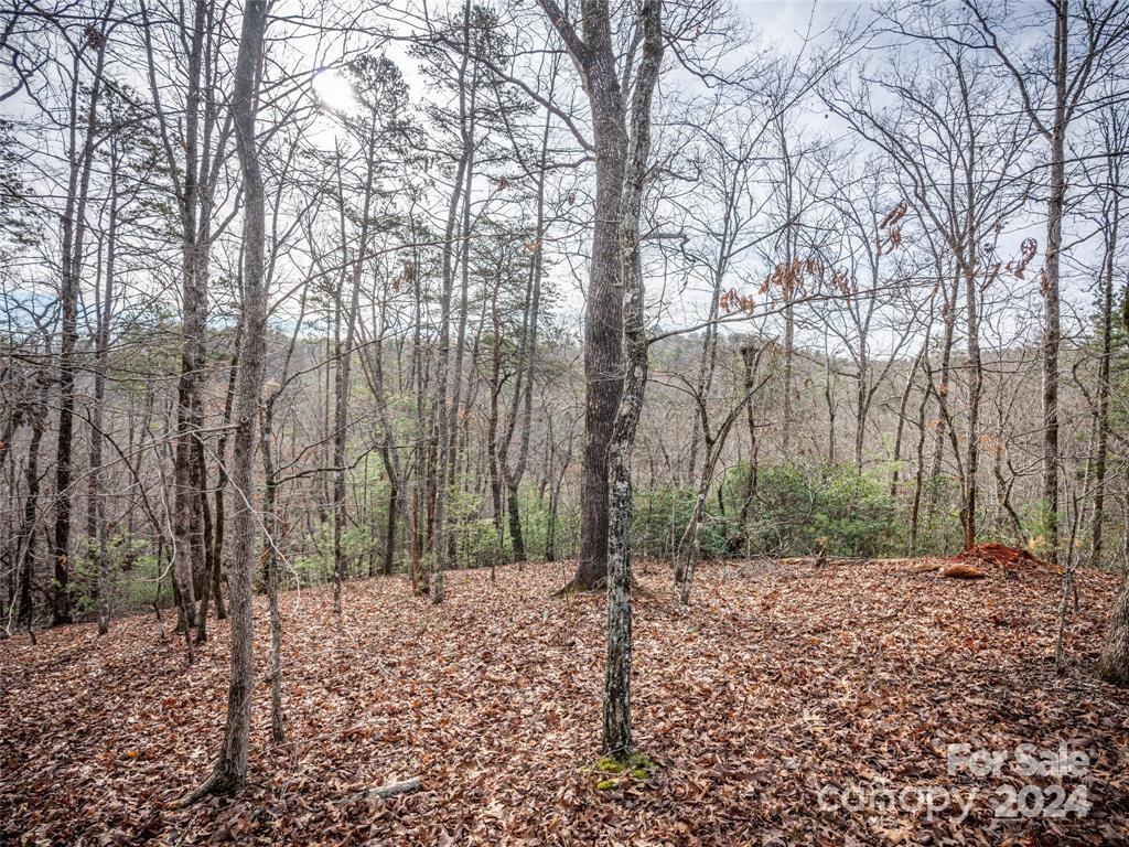 163 Pheasant Street Apt 163, Lake Lure, NC. property listing photo