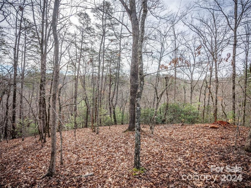 163 Pheasant Street Apt 163, Lake Lure, NC -  - $21,900