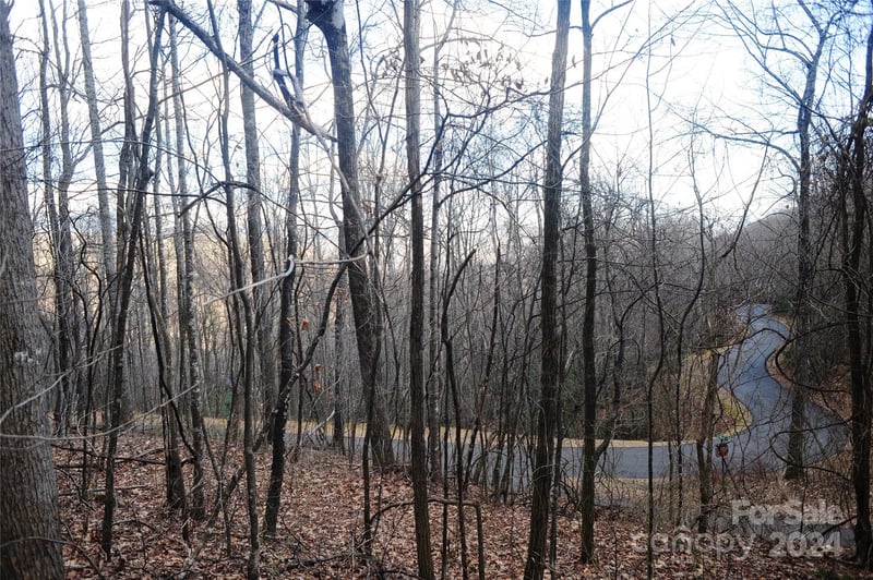 54 Great Aspen Way Apt 701, Black Mountain, NC -  - $65,000