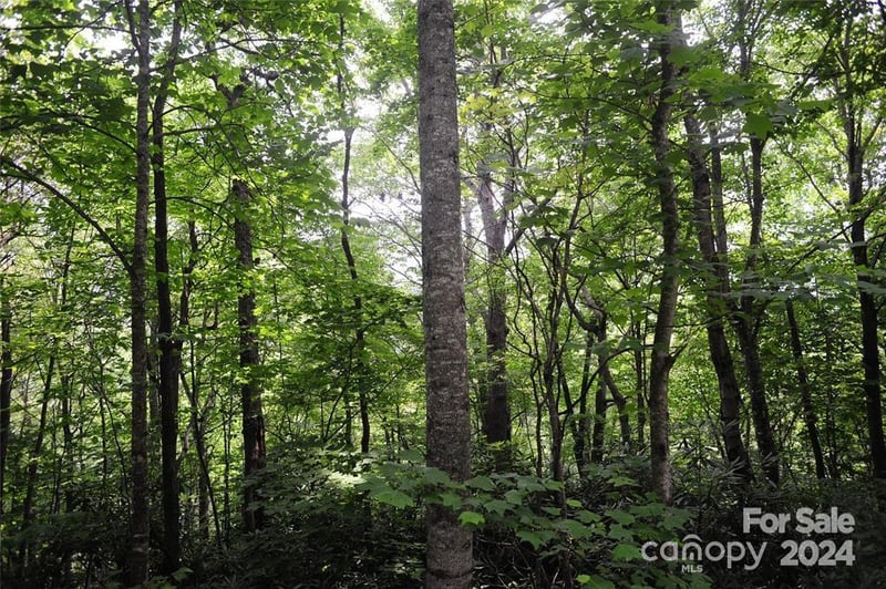 17 Wood Haven Lane Apt 111, Black Mountain, NC -  - $30,000
