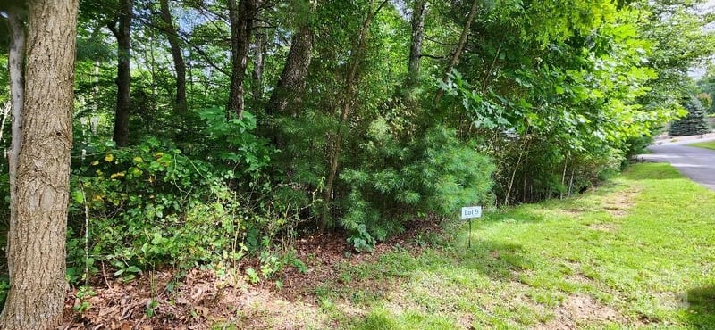 00000 Barebridge Drive Apt 9, Burnsville, NC -  - $49,900