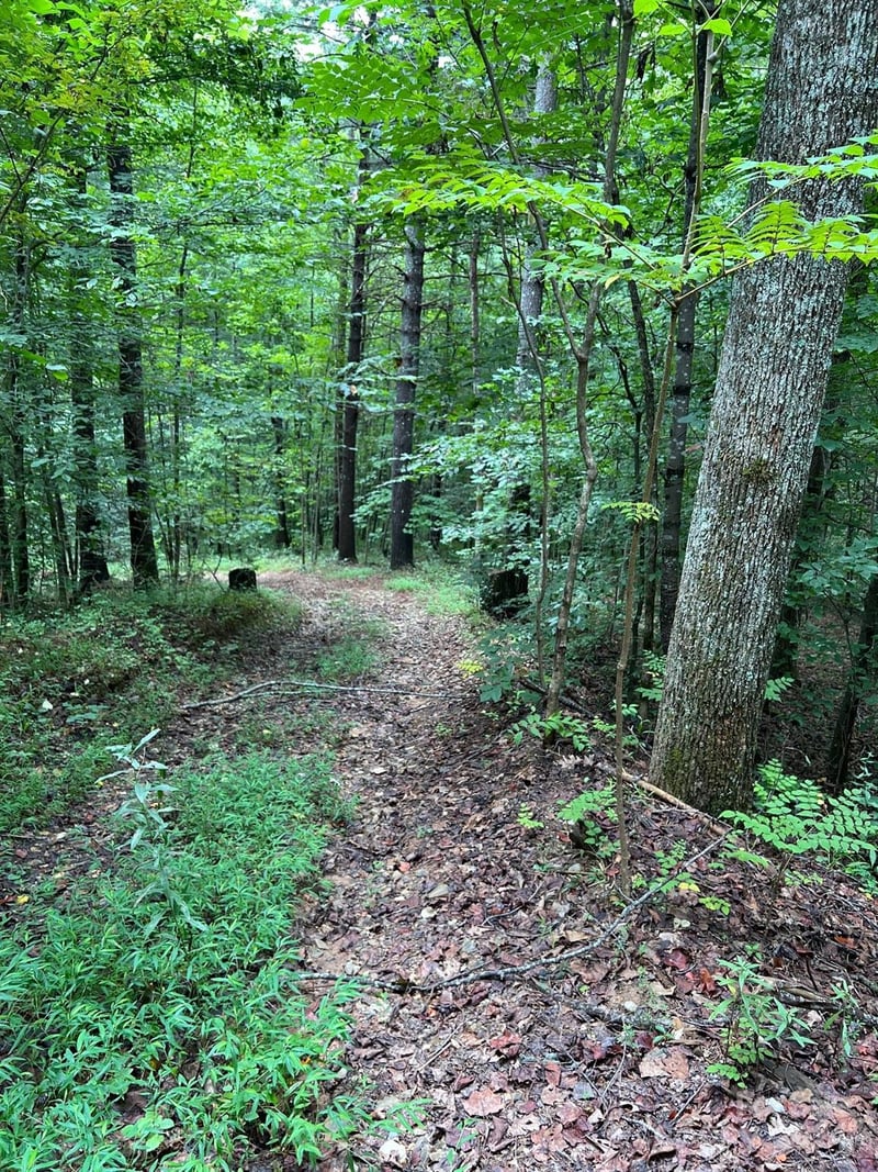 645 Tunnel Road 157 & 158, Marion, NC -  - $45,000