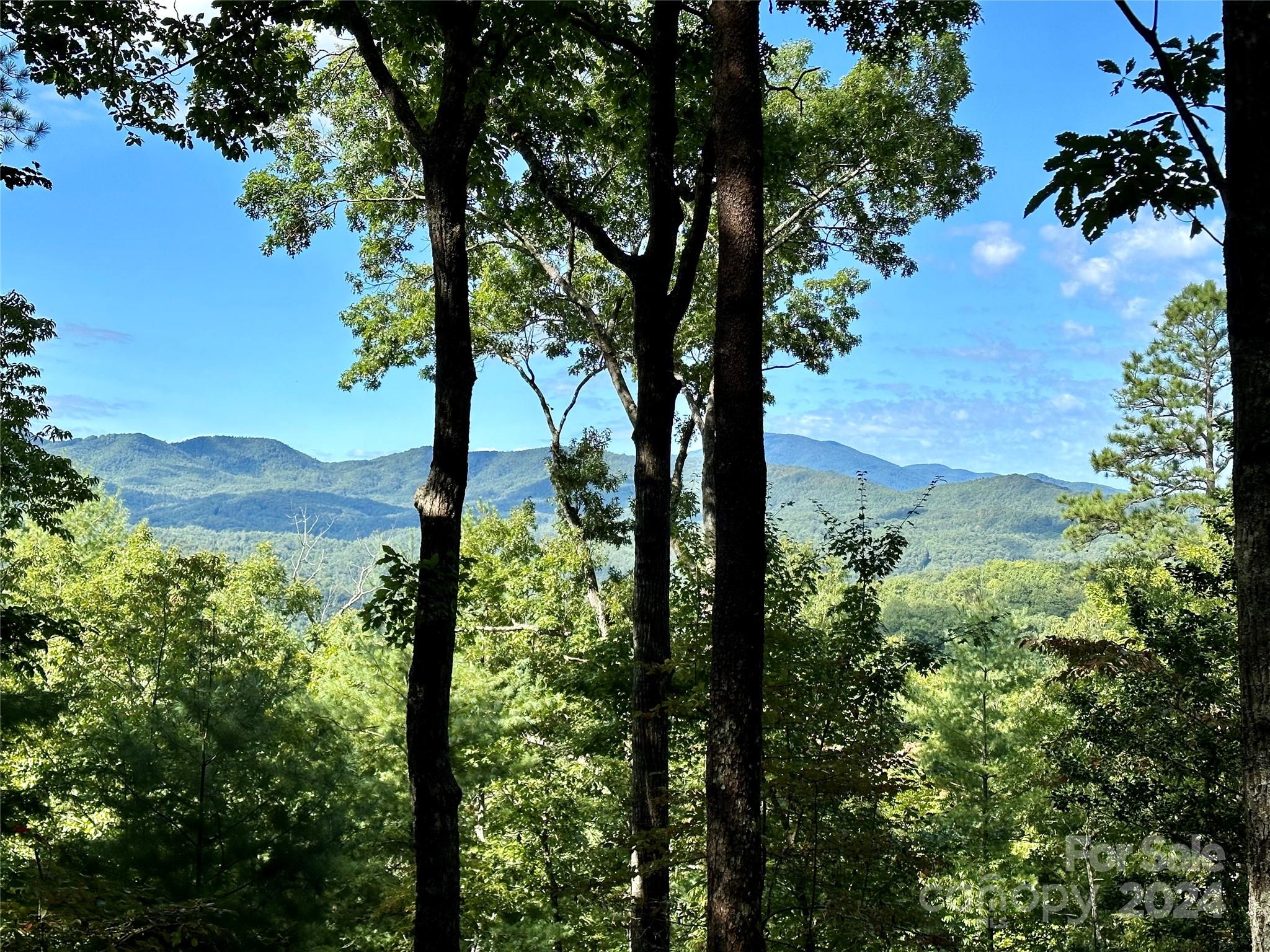 176 Winterberry Drive Apt 17, Marshall, NC. property listing photo