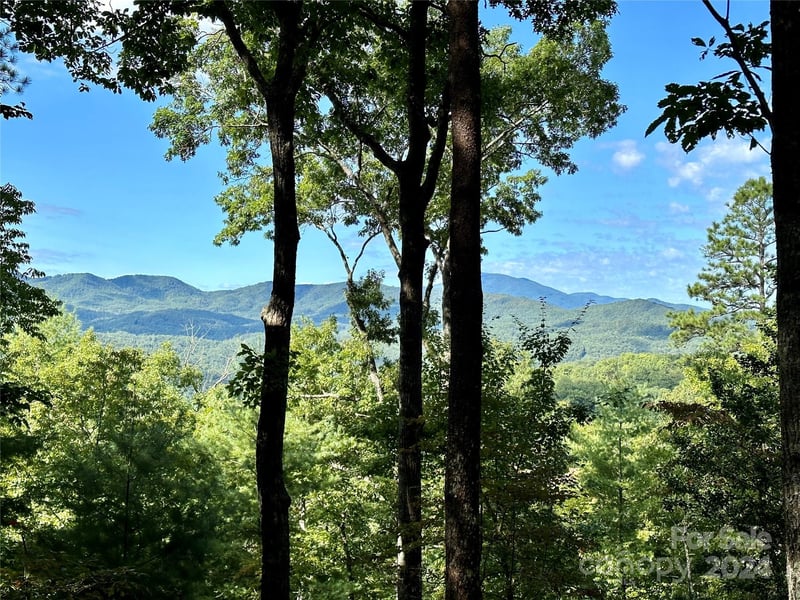 176 Winterberry Drive Apt 17, Marshall, NC -  - $295,000