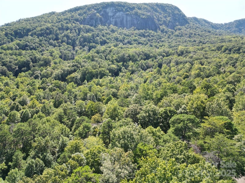 Lot 152 Sullivan Lane, Lake Lure, NC -  - $34,900