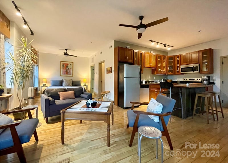 5 W Walnut Street Apt 201, Asheville, NC - 1 bed, 1 bath, 727 sqft - $3,300/mo