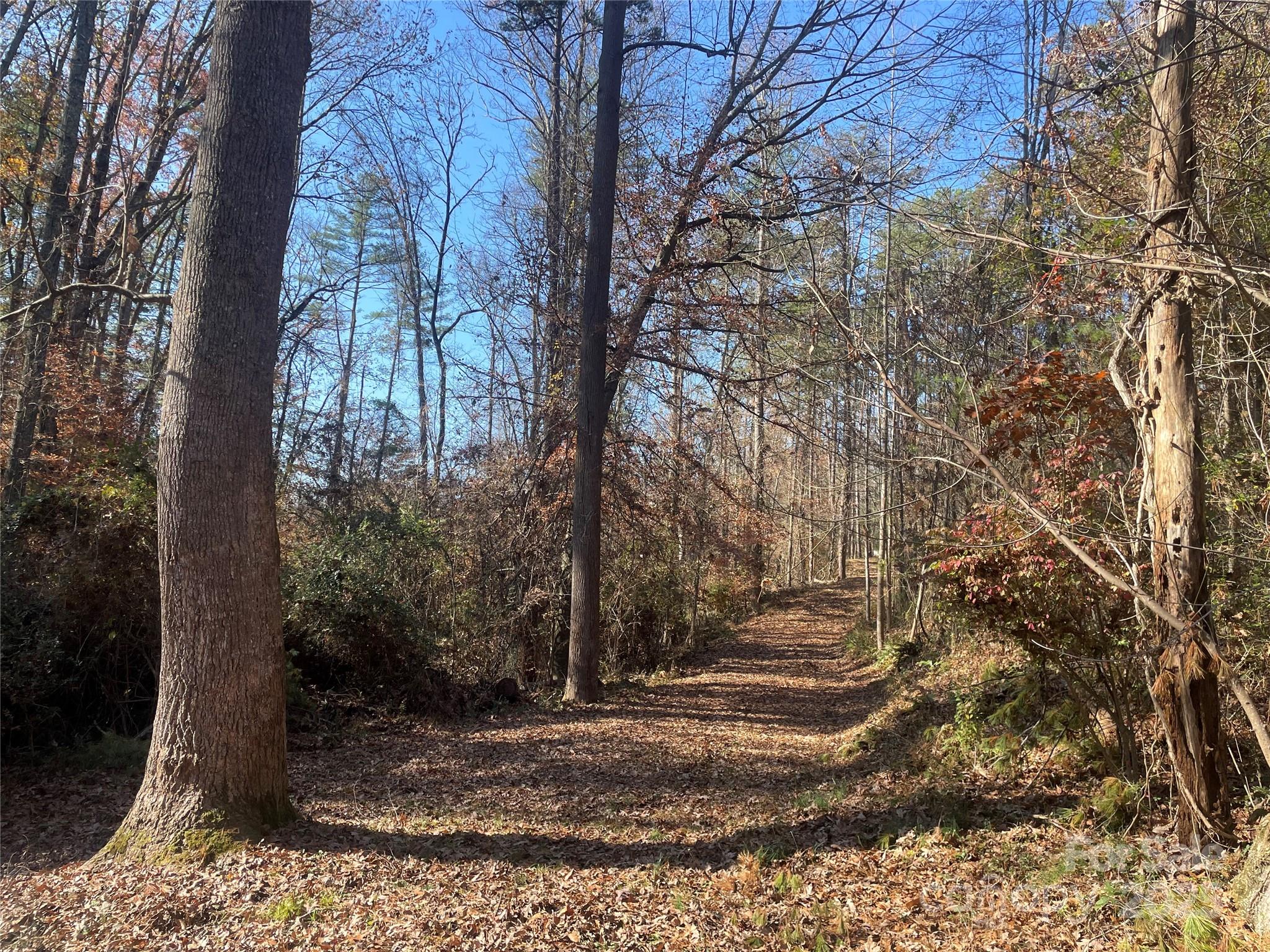 99999 Monticello Rd, Weaverville, NC 28787. property listing photo