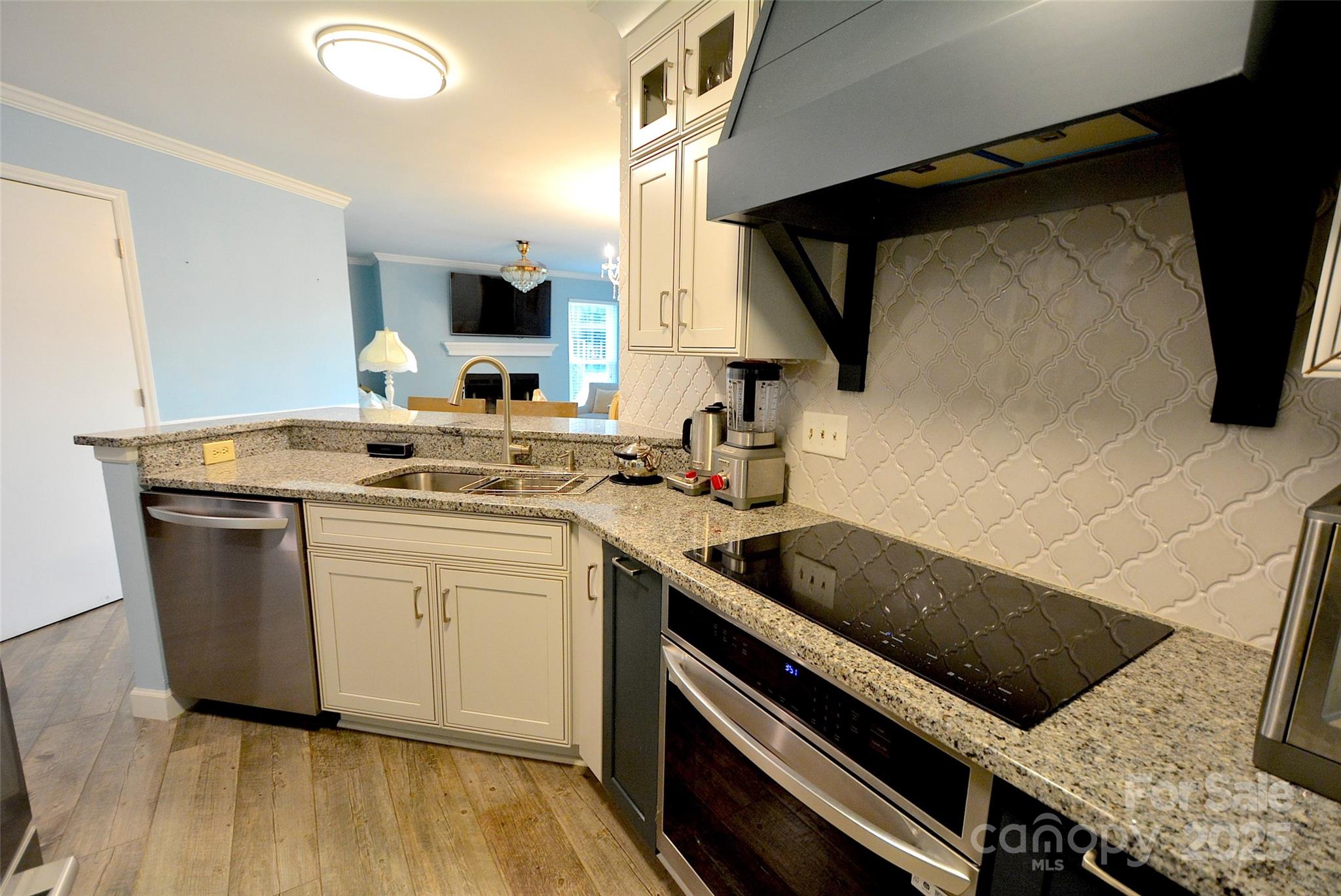 18867 Vineyard Point Lane, Cornelius, NC. property listing photo