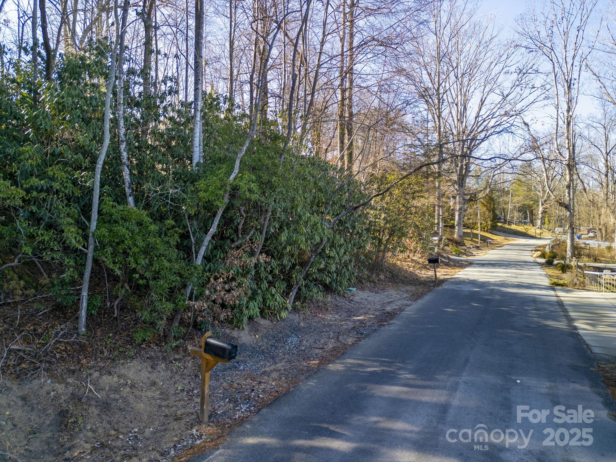 00 Upper Ridgewood Boulevard, Hendersonville, NC. property listing photo