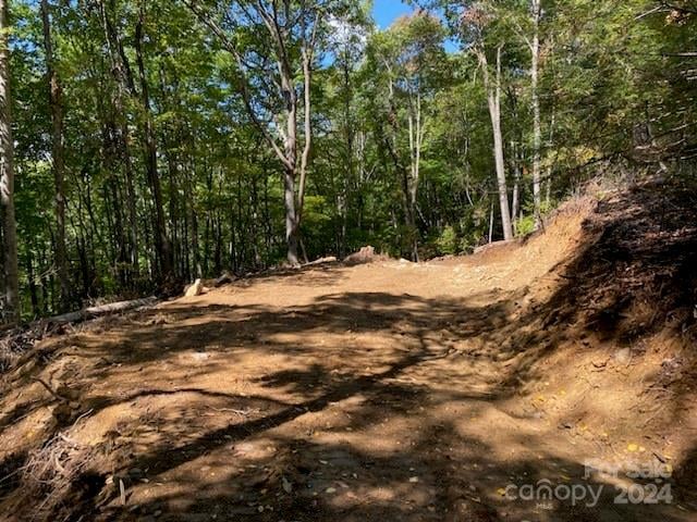Lot G-43 Odalu Trail G43, Maggie Valley, NC -  - $150,000