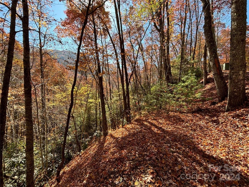 Lot 33 Coppermine Ridge Apt 33, Whittier, NC -  - $65,000